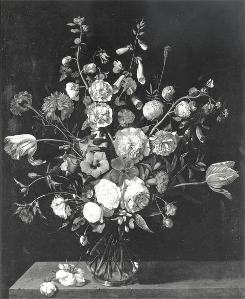 A. C. Cooper — Gerrit van Bloclant (attr.) - sec. XVII - Natura morta con vaso di fiori — insieme